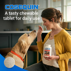 Dog climbing stairs with COSEQUIN in view, suggesting mobility support.