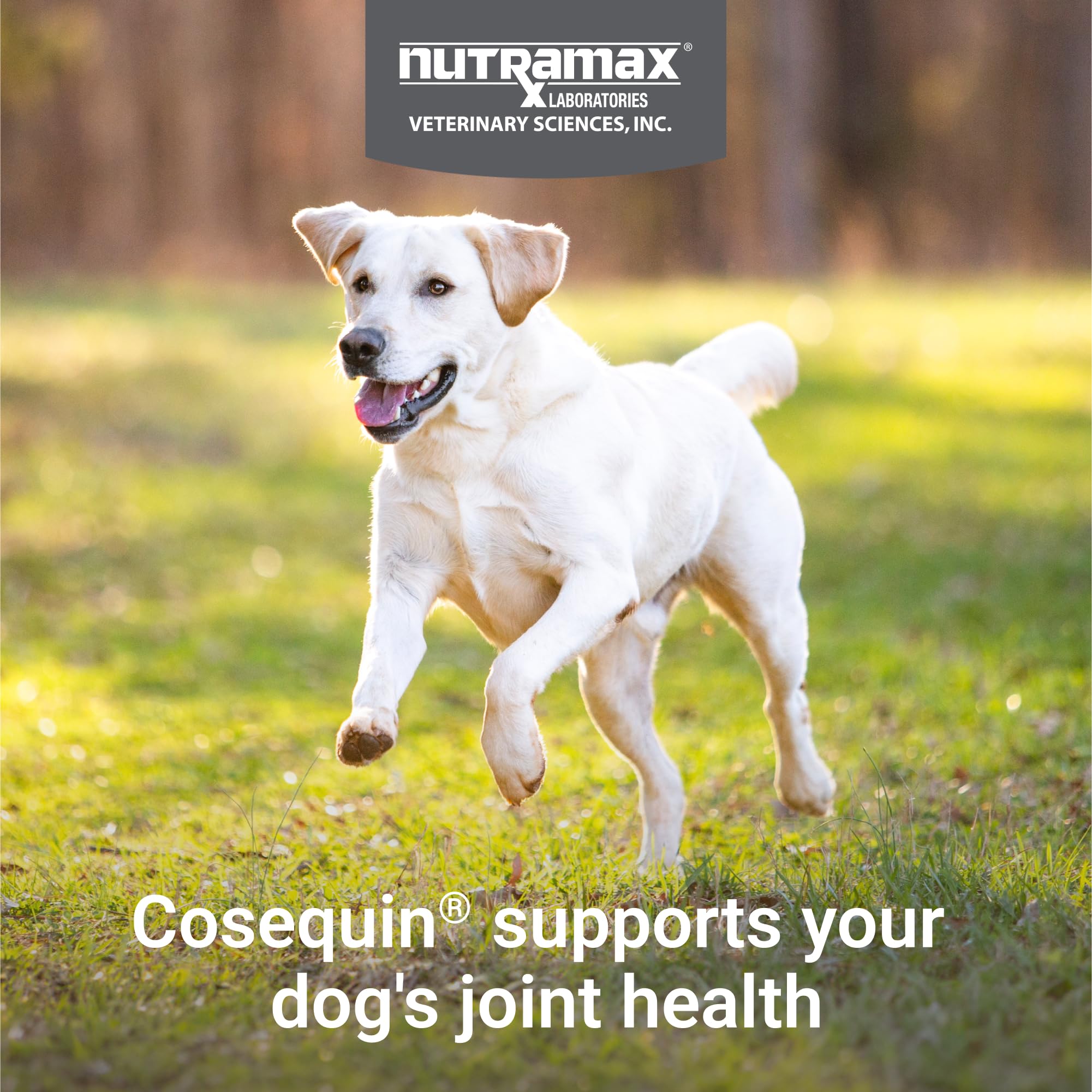 Nutramax Cosequin packaging box showcases high-quality joint health formula.