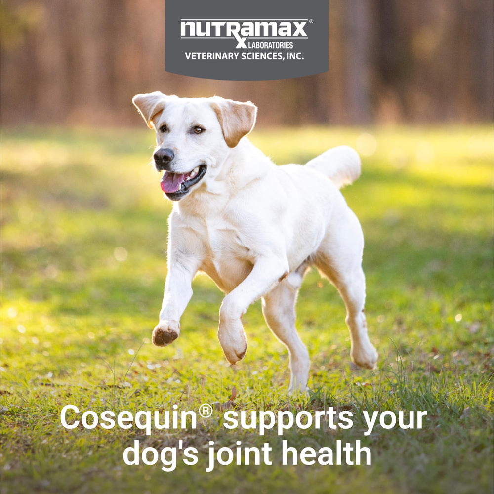 Nutramax Cosequin packaging box showcases high-quality joint health formula.