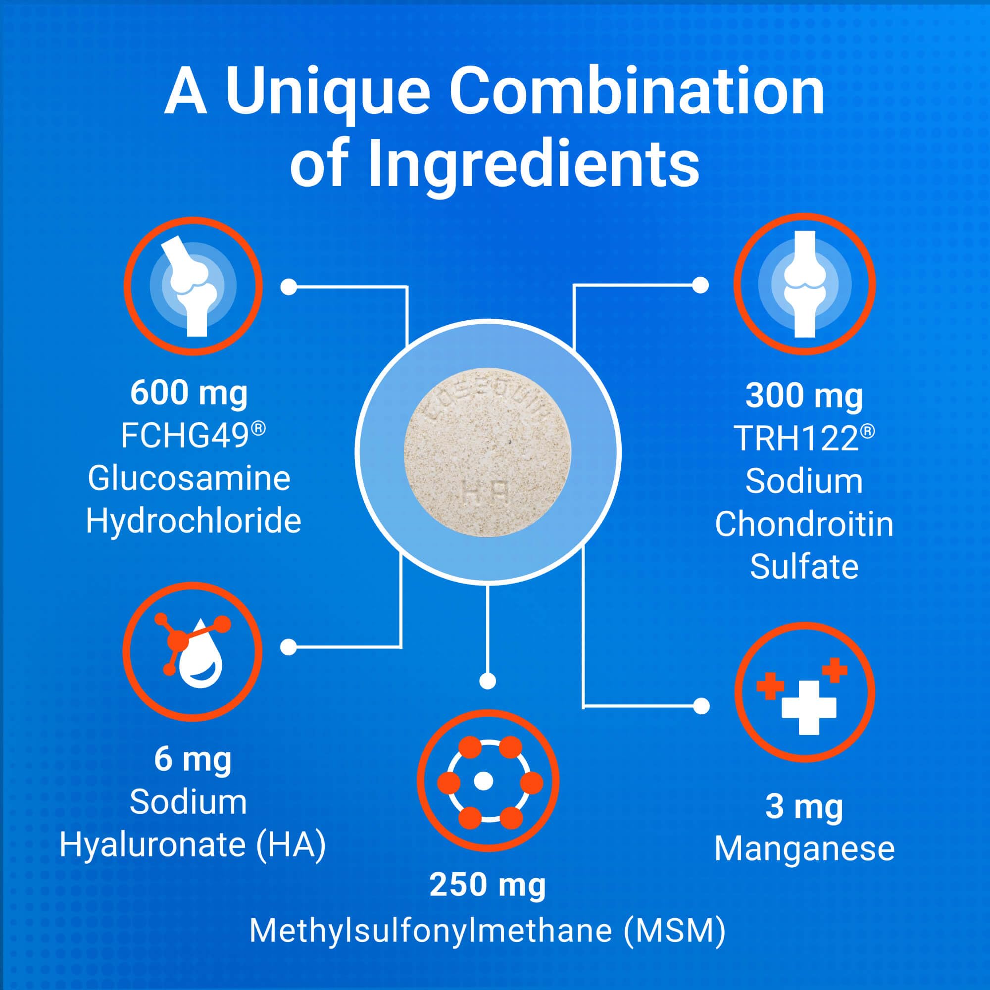 Nutramax Cosequin MSM formulation emphasizes multi-supplement support for flexible movement.