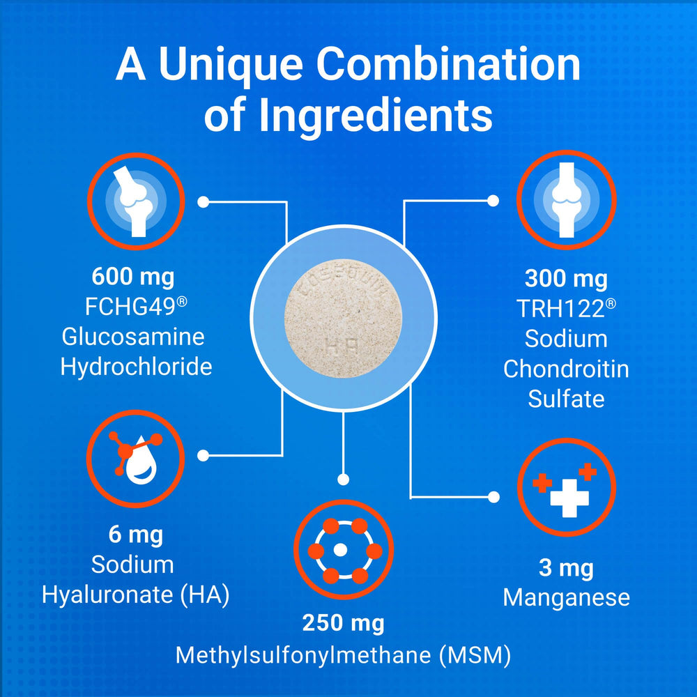 Nutramax Cosequin MSM formulation emphasizes multi-supplement support for flexible movement.