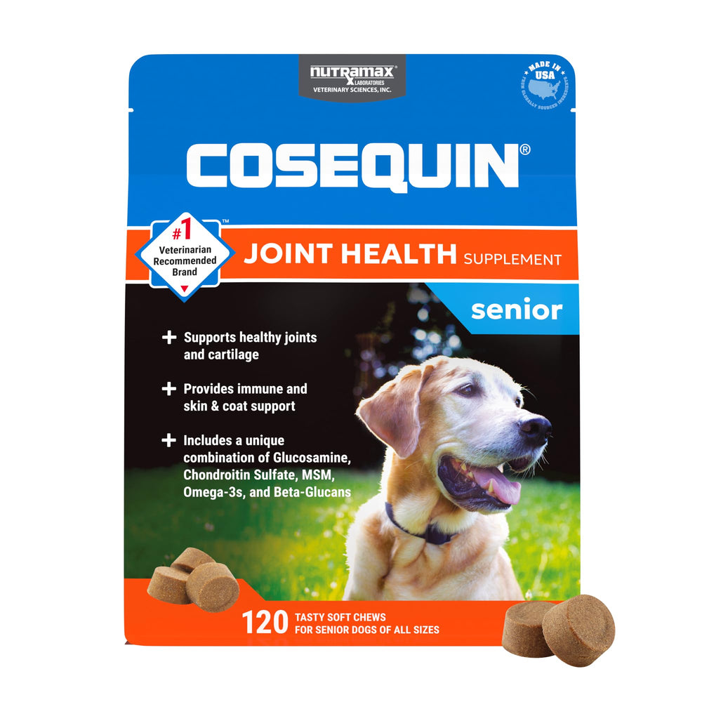 Nutramax Cosequin senior dogs joint soft chews for daily use
