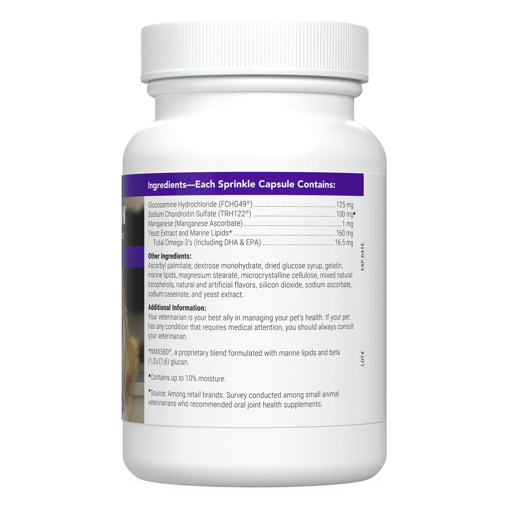 Nutramax Cosequin sprinkle-on formula on cat food for easy administration.