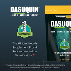 Dasuquin ASU synergy supports healthy cartilage alongside glucosamine and chondroitin.