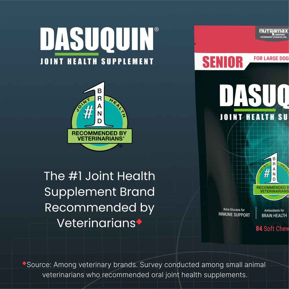 Nutramax Dasuquin beta-glucans boost immune support in senior dogs.