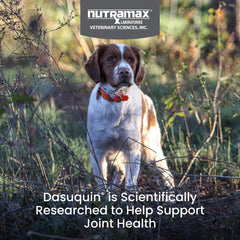 Nutramax Dasuquin ingredients: glucosamine, chondroitin, ASU for joint health.