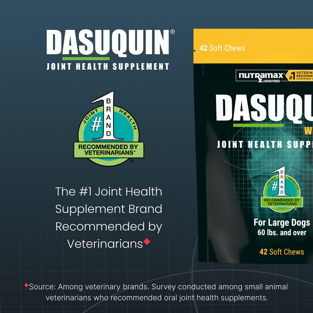 Nutramax Dasuquin large dogs bottle back label with ingredients and directions