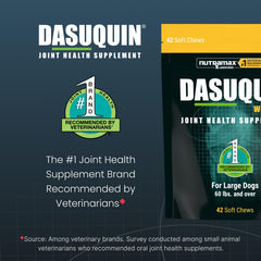 Nutramax Dasuquin large dogs bottle back label with ingredients and directions