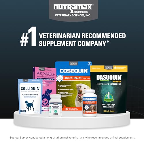 Nutramax Dasuquin large dogs bottle next to calendar implies routine joint care