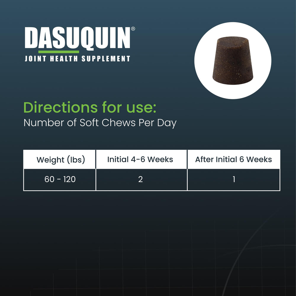 Nutramax Dasuquin large dogs in action illustrating daily use