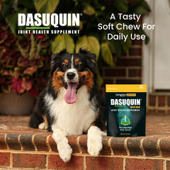 Nutramax Dasuquin large dogs glucosamine illustration highlights joint health