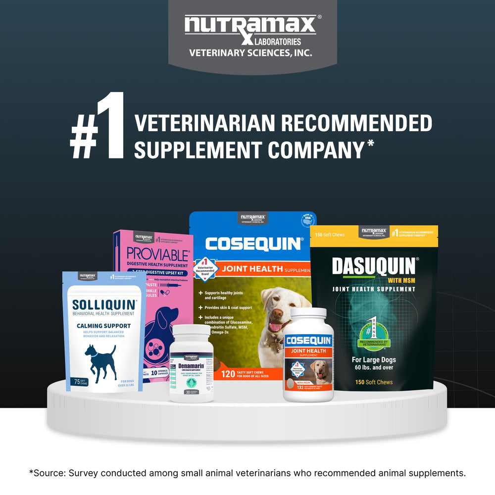 Nutramax Dasuquin large dogs packaging shows 42-count soft chews