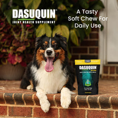 Nutramax Dasuquin large dogs chew being fed illustrates easy daily use