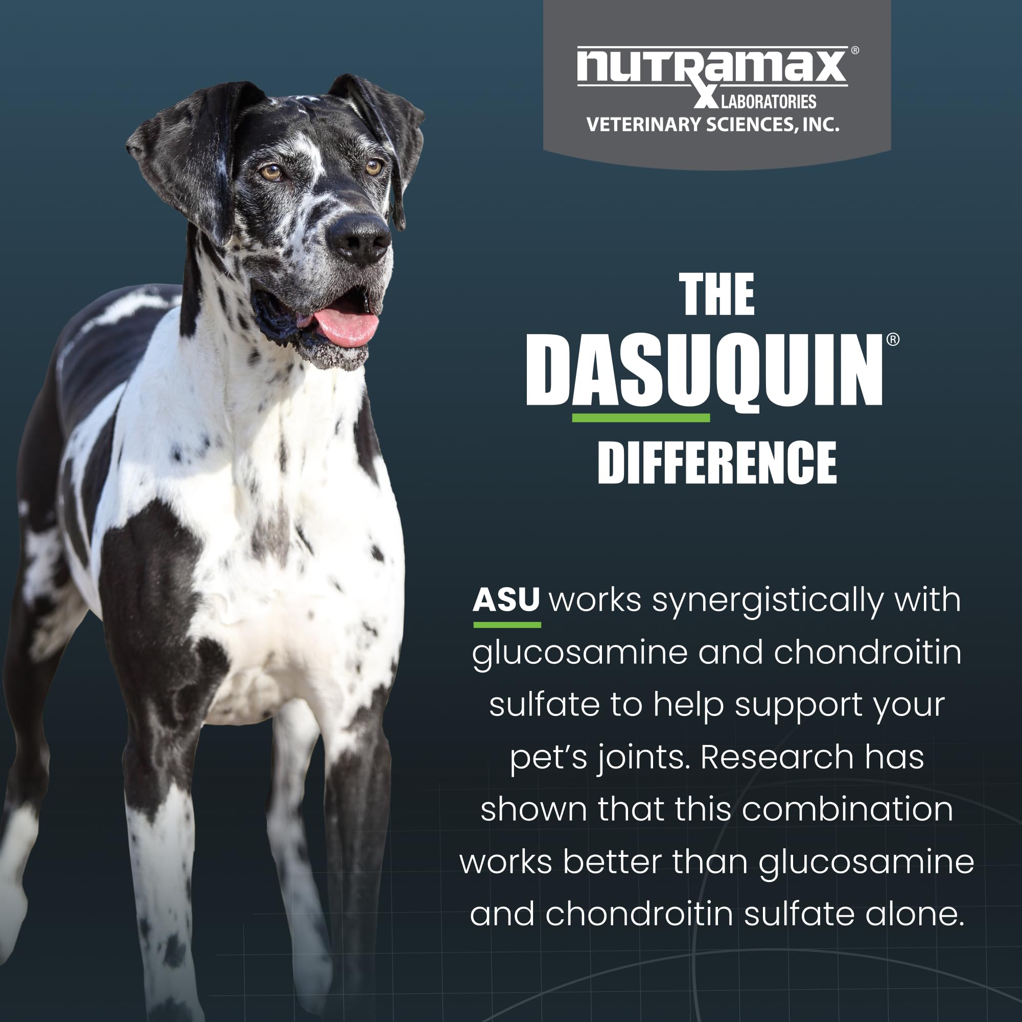 Nutramax Dasuquin label closeup conveys trusted quality and US-sourced ingredients
