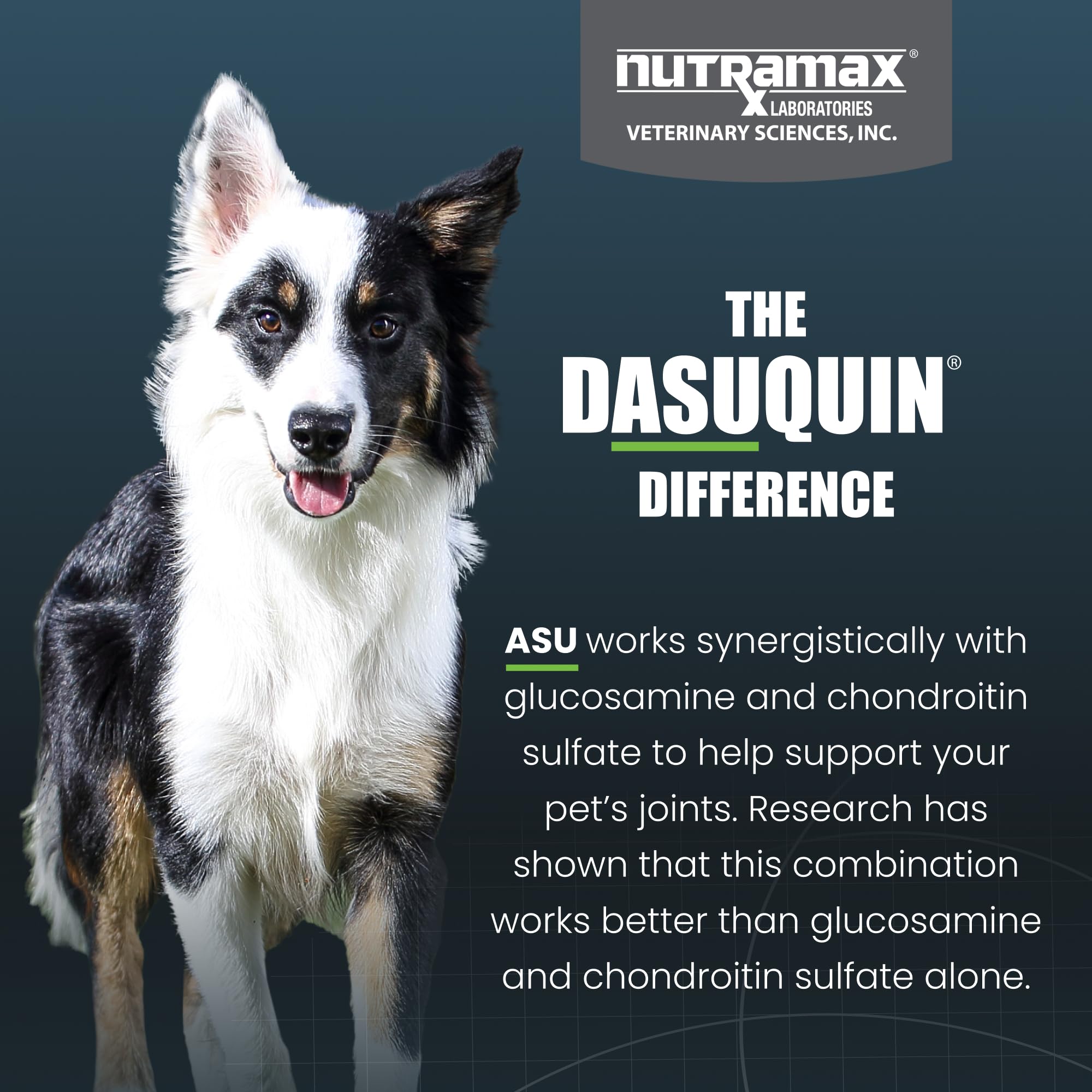 US-made Nutramax Dasuquin with globally sourced ingredients.