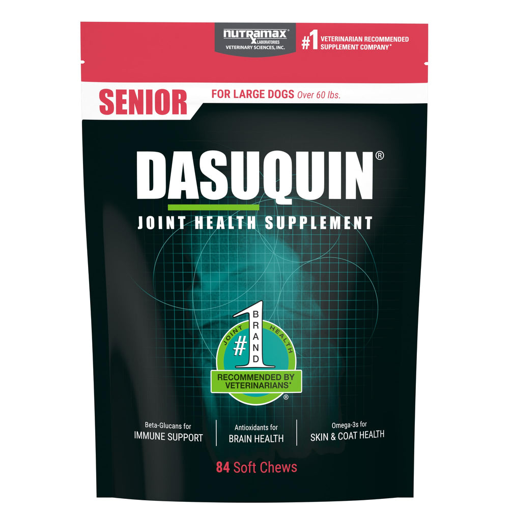 Nutramax Dasuquin senior soft chews bottle for joint comfort and easy dosing.