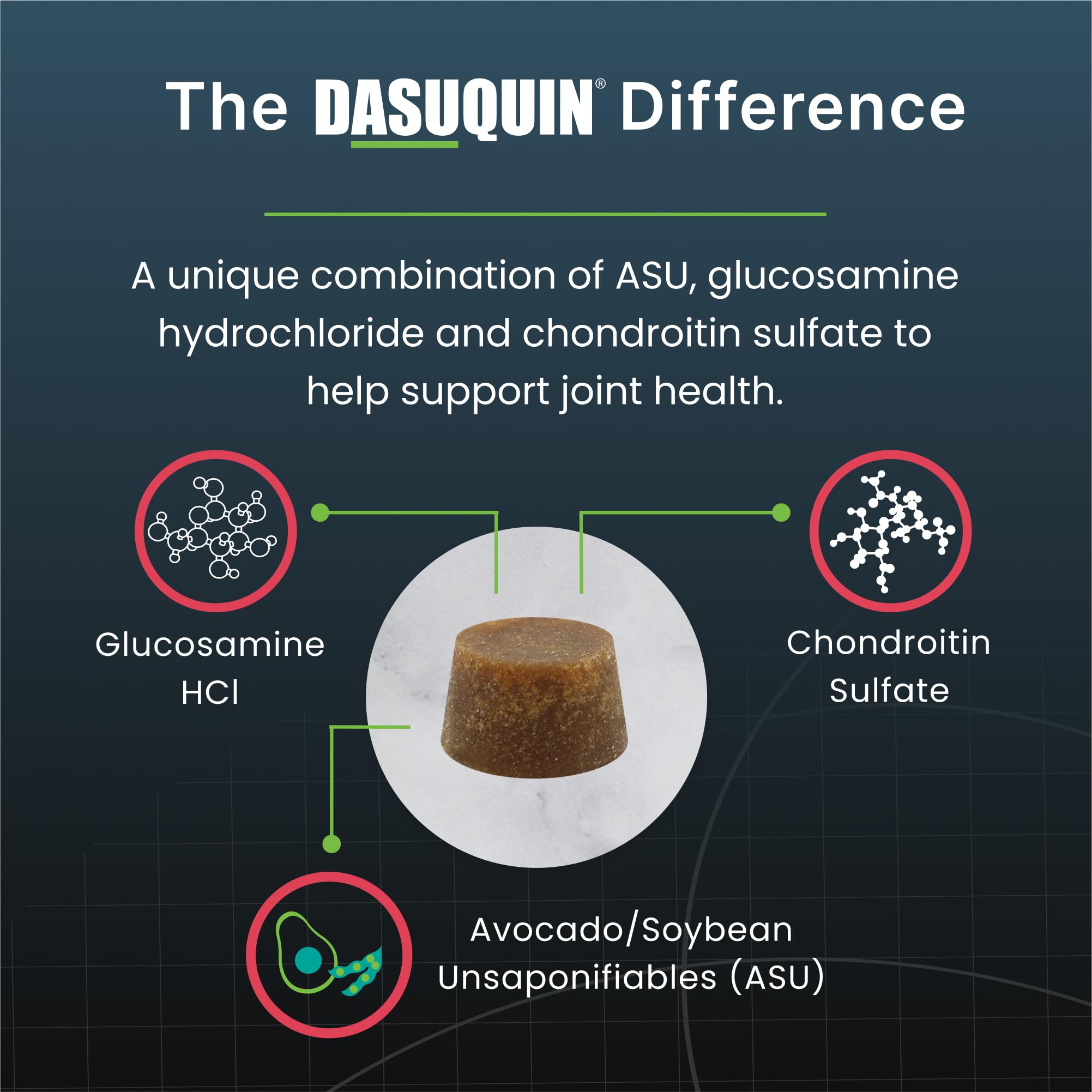 Nutramax Dasuquin soft chews close-up shows palatable texture for daily dosing.