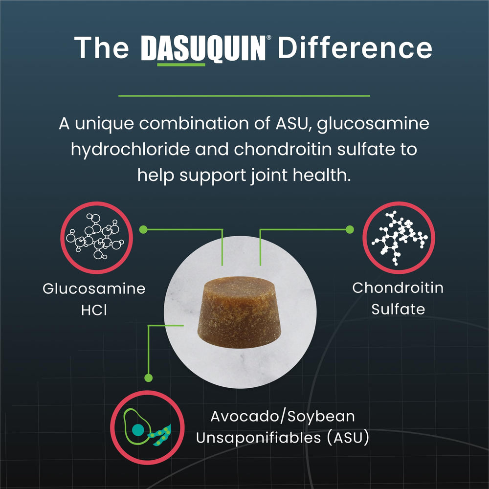 Nutramax Dasuquin soft chews close-up shows palatable texture for daily dosing.