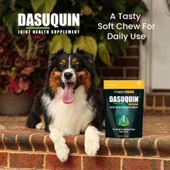 Nutramax Dasuquin brand trusted by veterinarians for joint care.