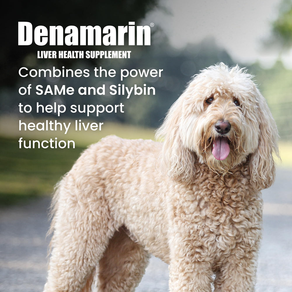 Denamarin coated tablets closeup highlighting easy swallowing coating.