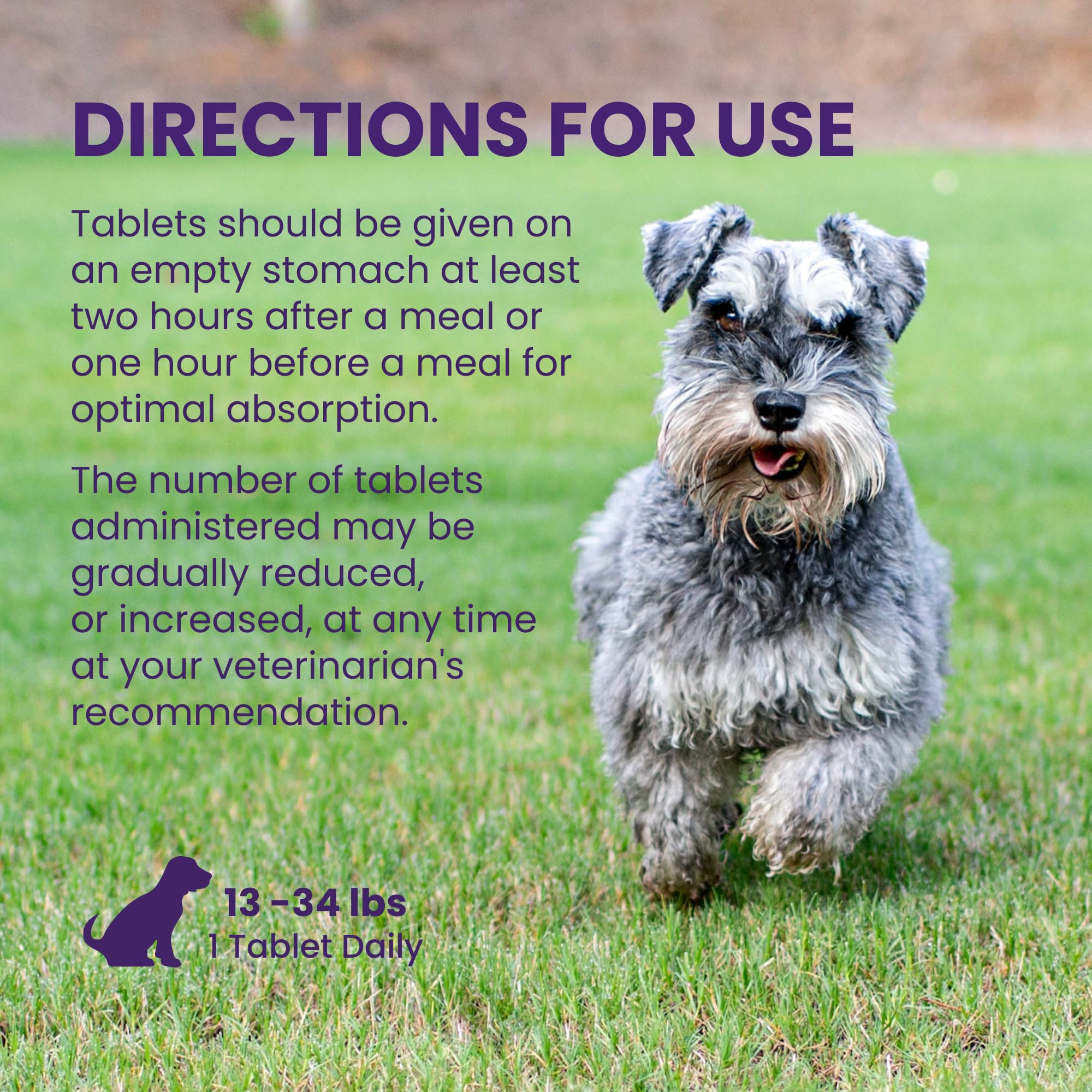 Nutramax Denamarin easy daily usage for dogs.