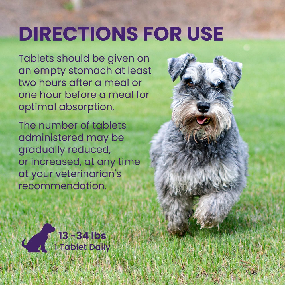 Nutramax Denamarin easy daily usage for dogs.