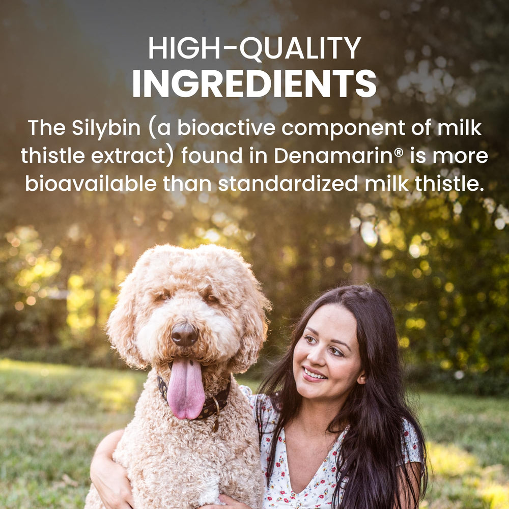 Nutramax Denamarin liver health image emphasizes daily dog wellness.