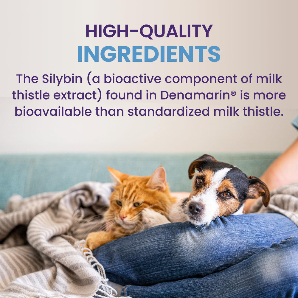 Nutramax Denamarin packaging with insert for veterinarian-approved use.