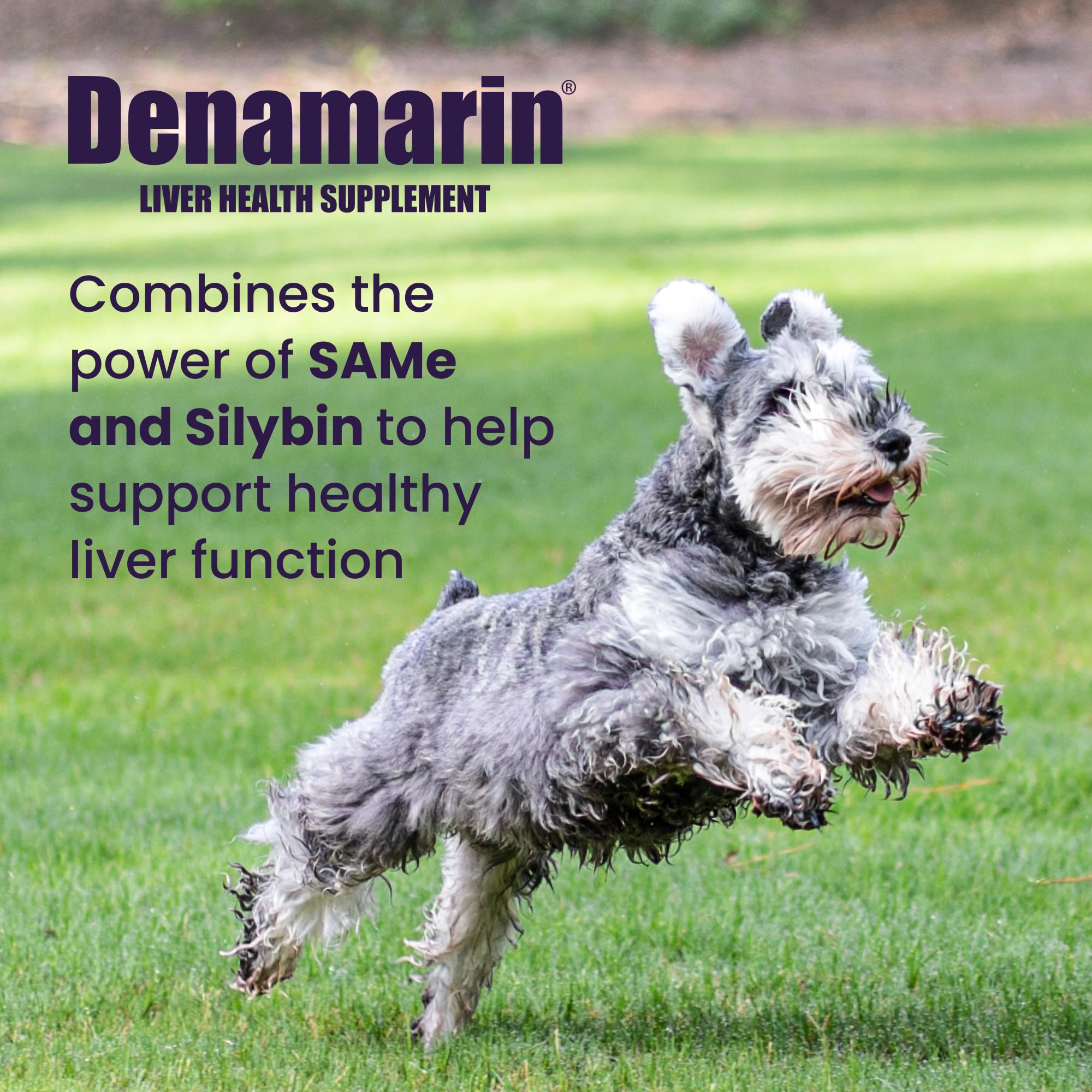 Nutramax Denamarin SAMe and Silybin ingredients close-up for liver support.