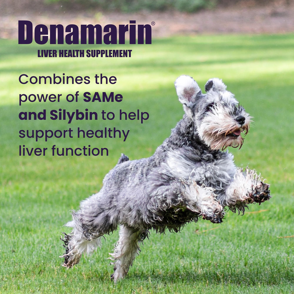 Nutramax Denamarin SAMe and Silybin ingredients close-up for liver support.
