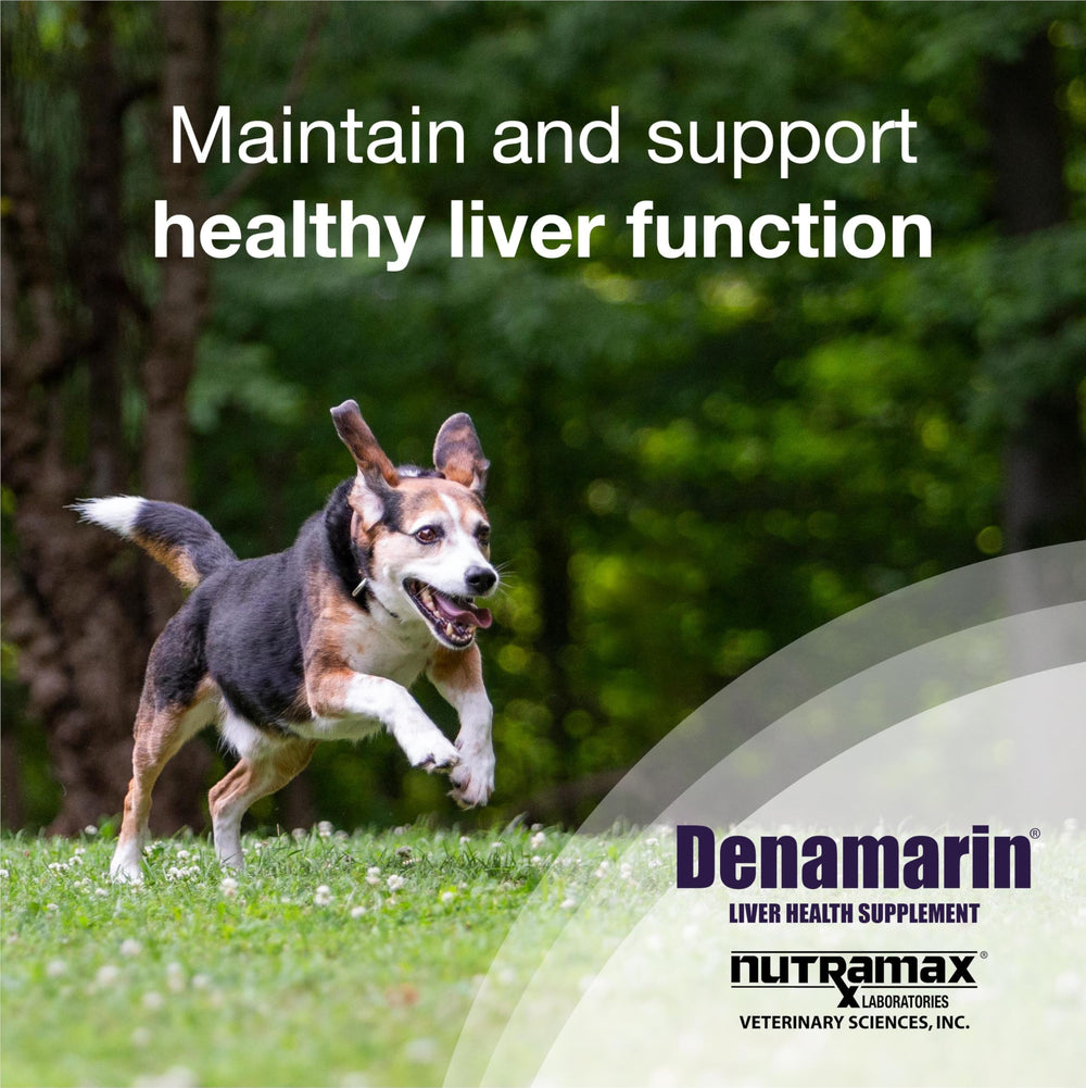Denamarin tablets close-up for easy dosing in dogs.