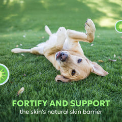 Nutramax Dermaquin bottle label closeup emphasizing quality and vet-trusted brand