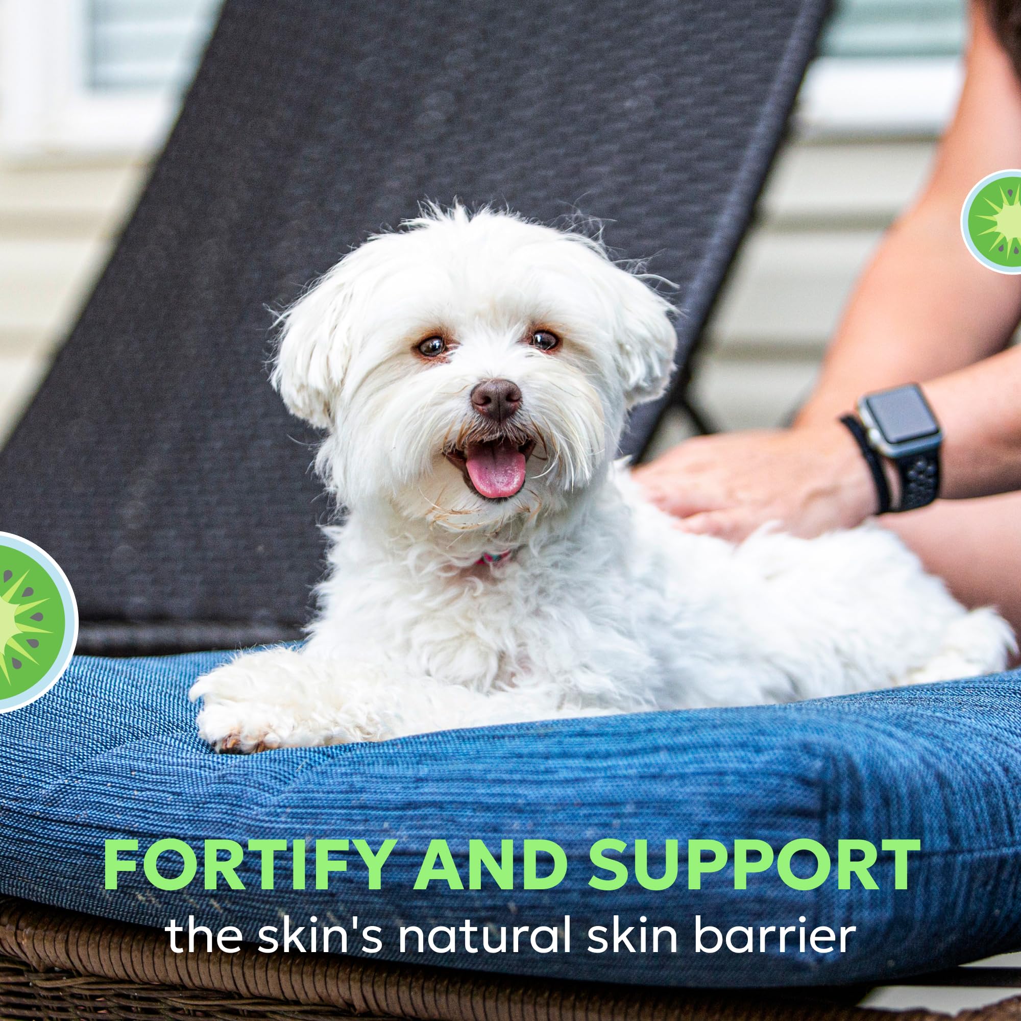 Nutramax Dermaquin hardy kiwi illustration conveys anti-inflammatory support potential.