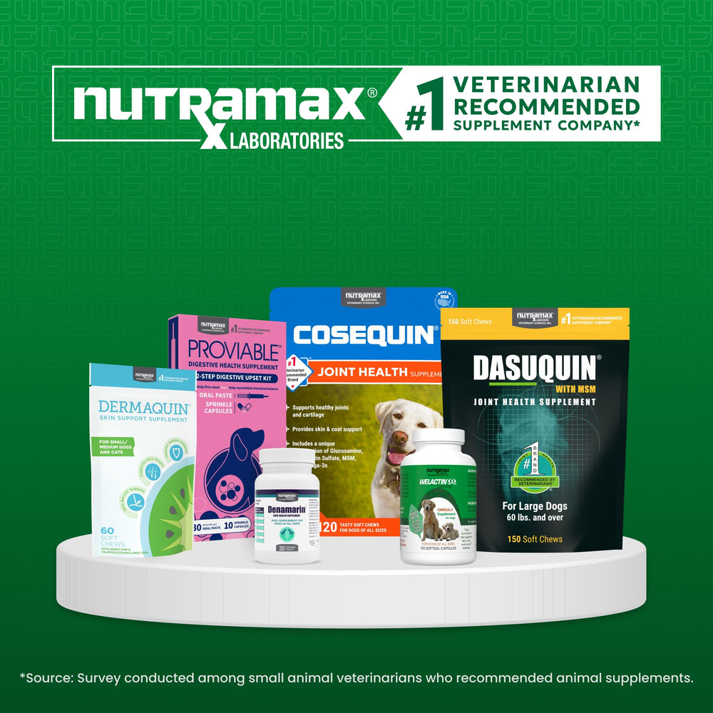 Nutramax Dermaquin kiwi-omega visuals pair for pet skin comfort.