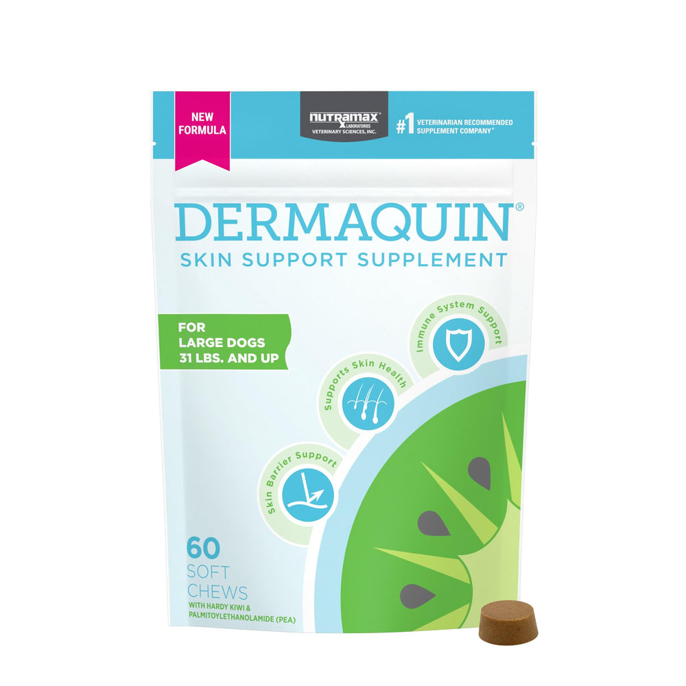 Nutramax Dermaquin soft chews bottle front showing skin support for large dogs
