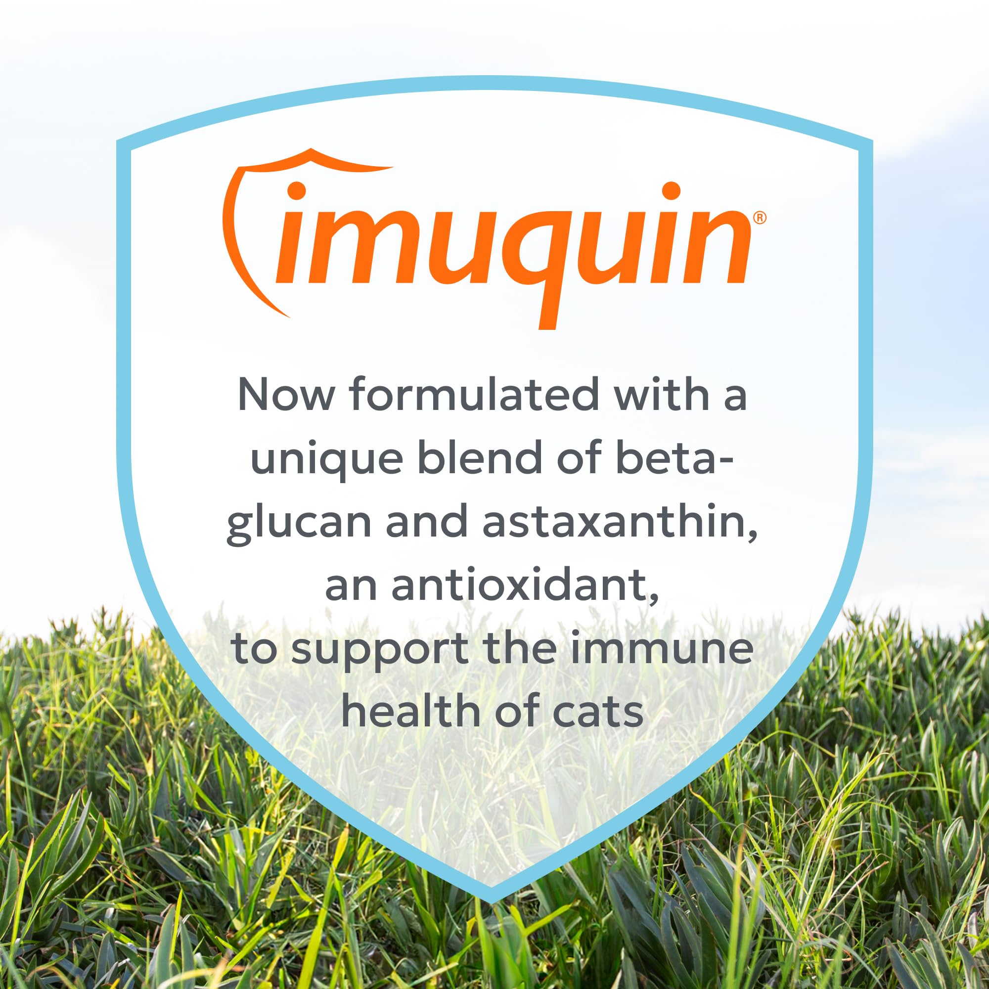 Nutramax Imuquin sprinkled on cat food before mealtime.