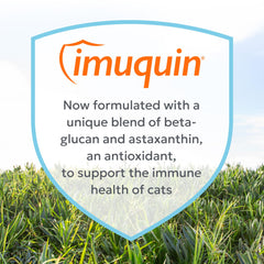 Nutramax Imuquin sprinkled on cat food before mealtime.