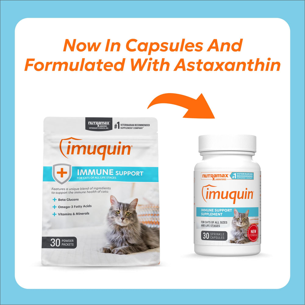 Nutramax Imuquin sprinkle capsules ready to sprinkle on cat meals.