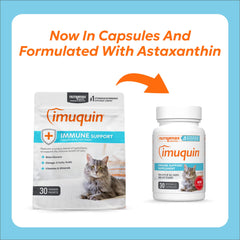 Nutramax Imuquin sprinkle capsules ready to sprinkle on cat meals.