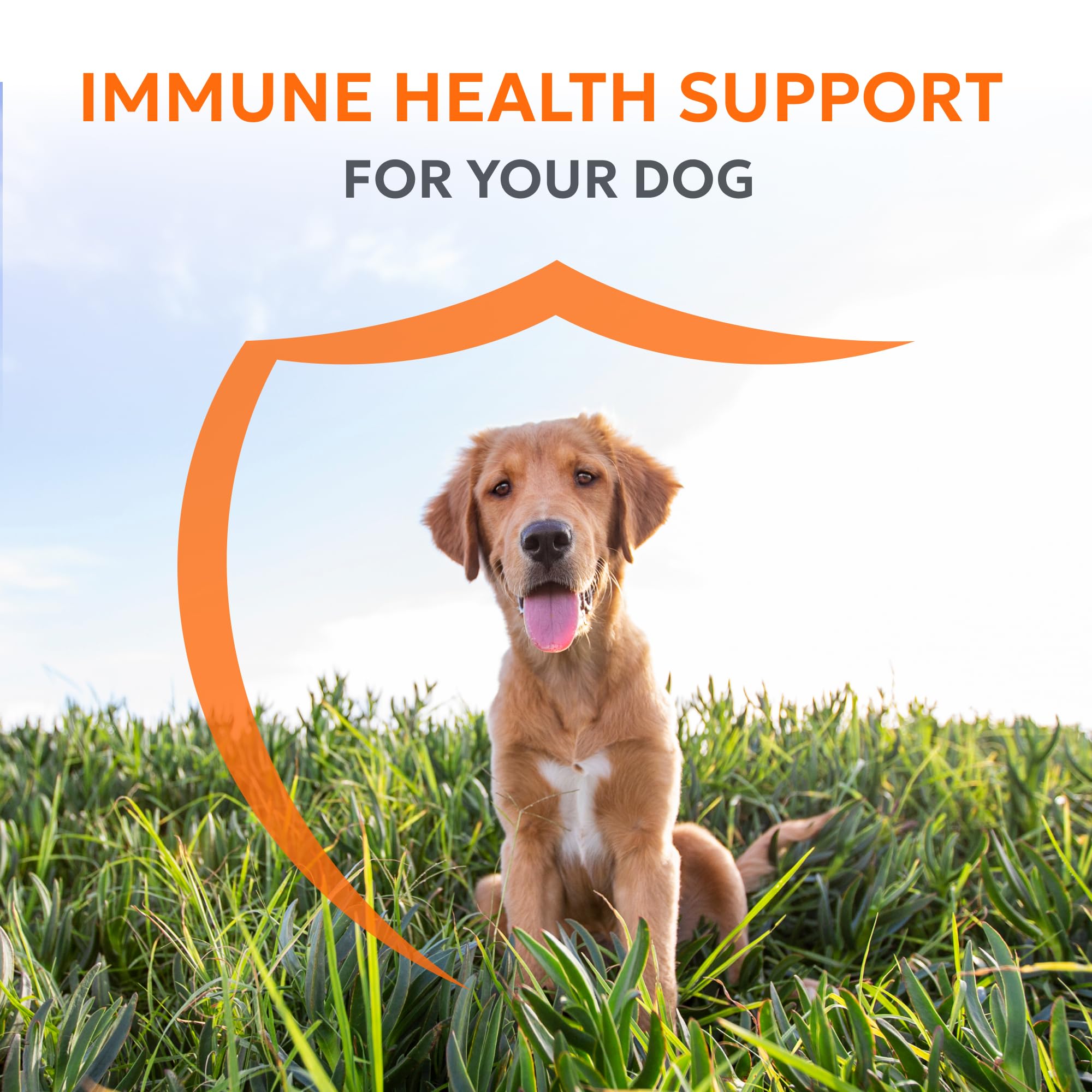 Nutramax Imuquin tub and packets shown for convenient vet-grade immune support.