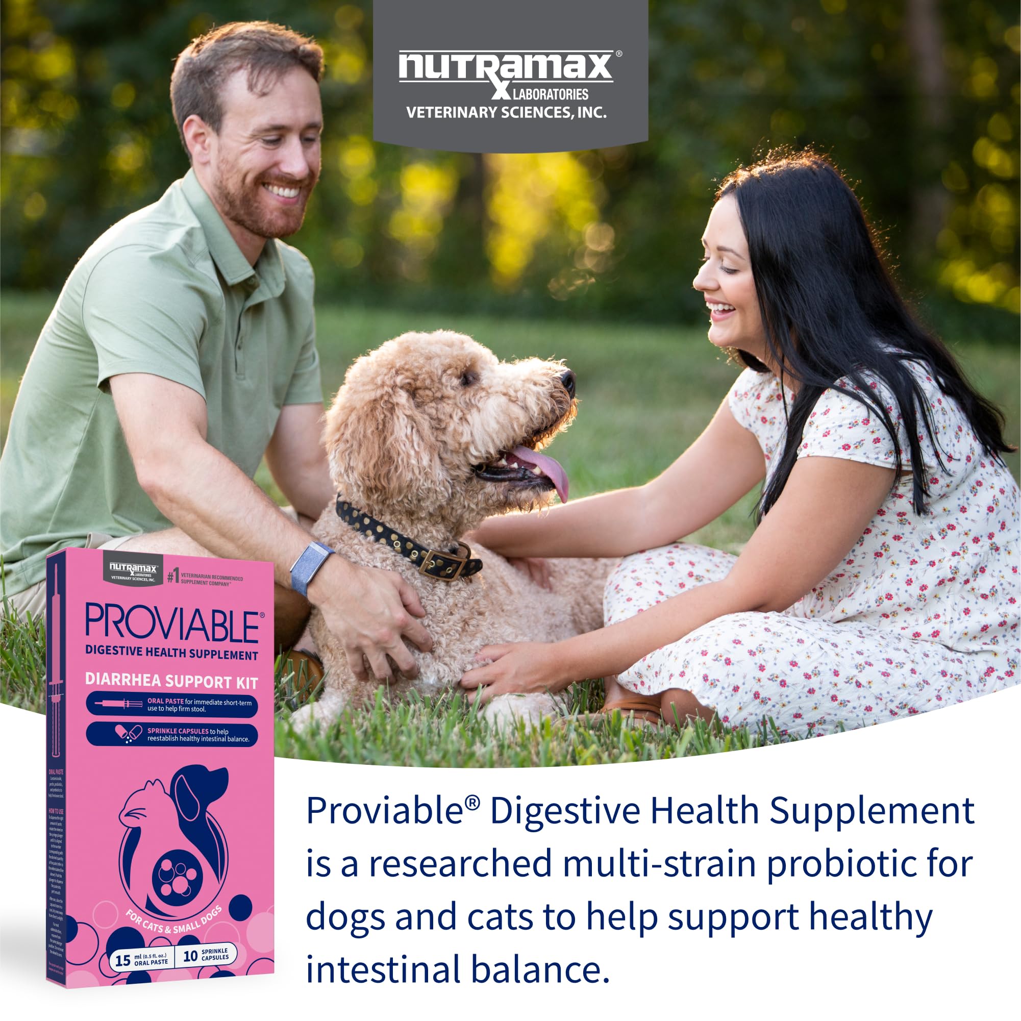 Nutramax Proviable capsules with prebiotics support gut balance after dietary changes.