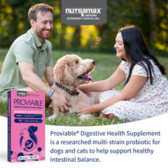 Nutramax Proviable capsules with prebiotics support gut balance after dietary changes.