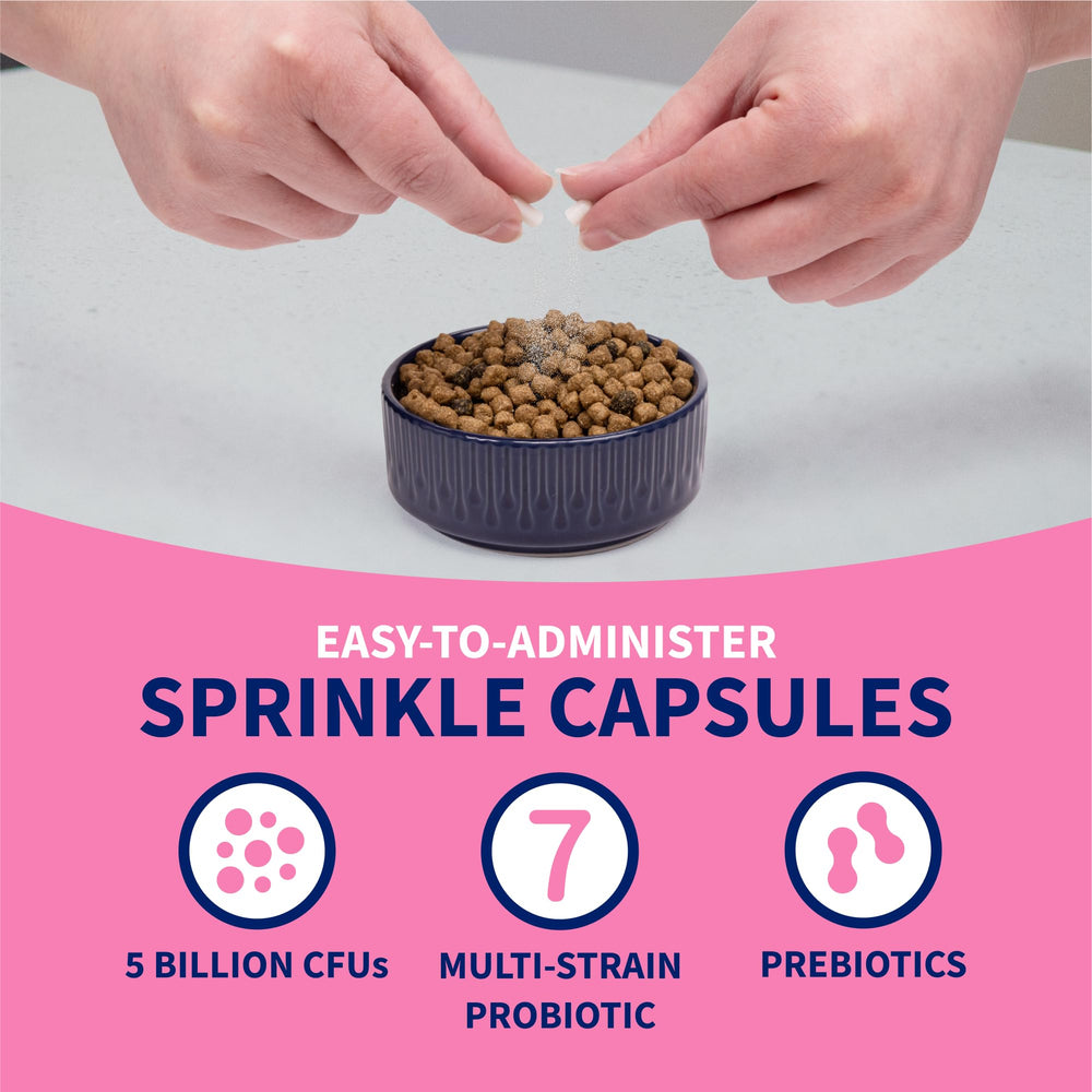 Cat-friendly Nutramax Proviable capsules sprinkled over meals.