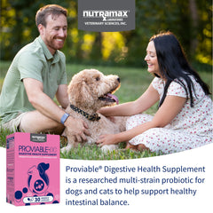 Nutramax Proviable chewable tablets provide easy daily administration