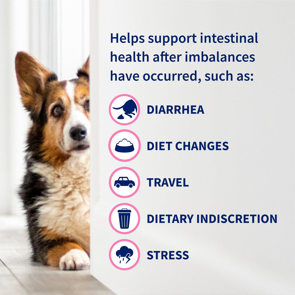Nutramax Proviable chew tablets arranged to show daily dose.