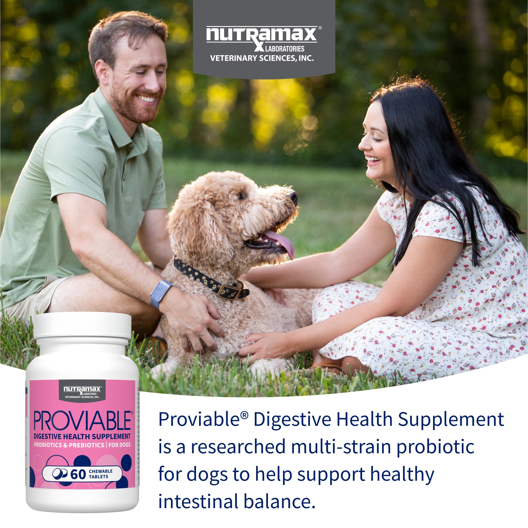 Nutramax Proviable dog probiotic bottle on shelf highlighting digestive support.