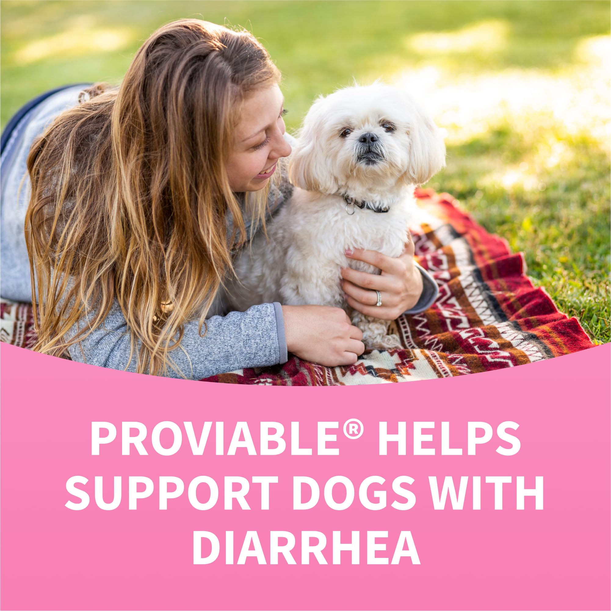Nutramax Proviable easy administration chew treat.