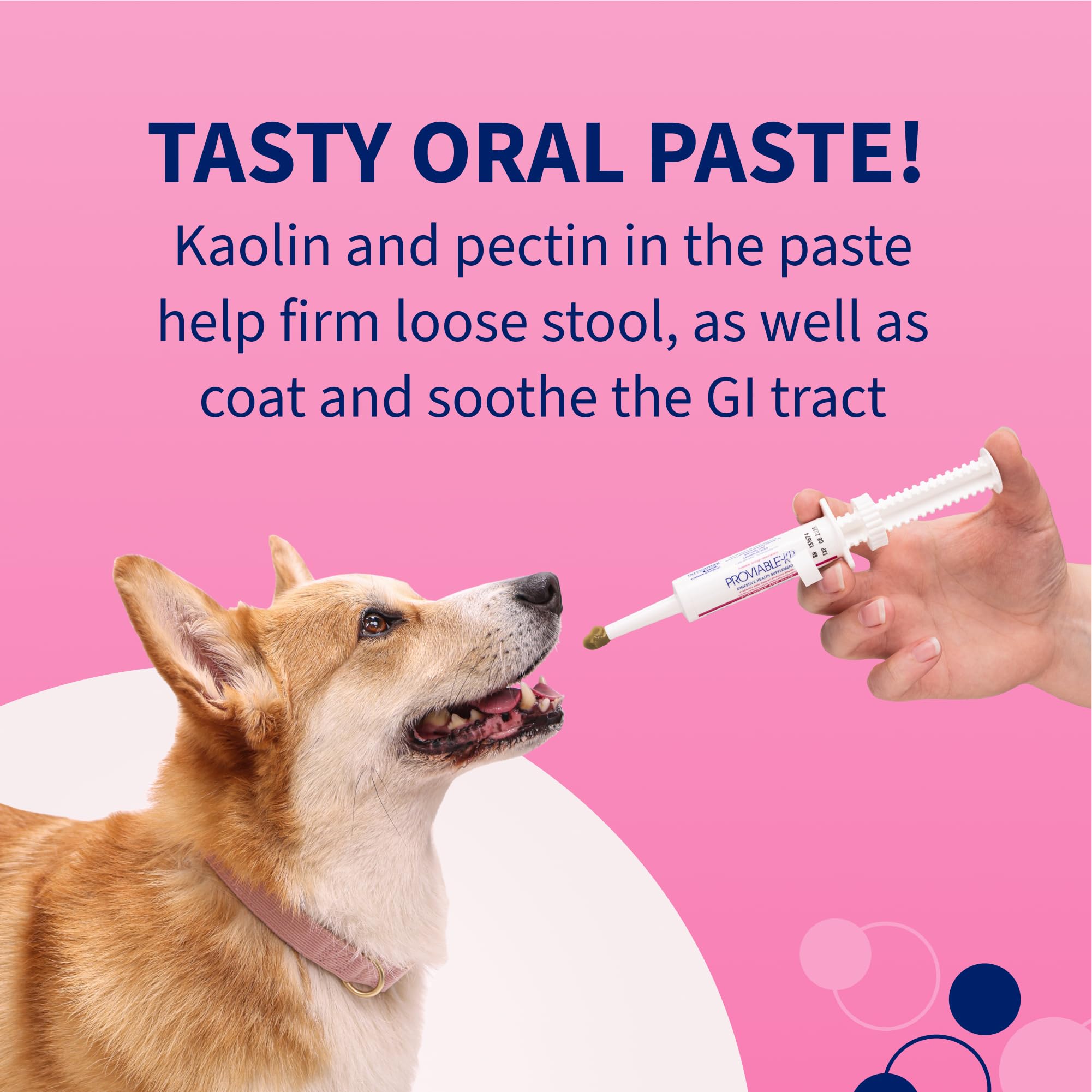 Pet owner administering paste from Nutramax Proviable syringe to a dog.