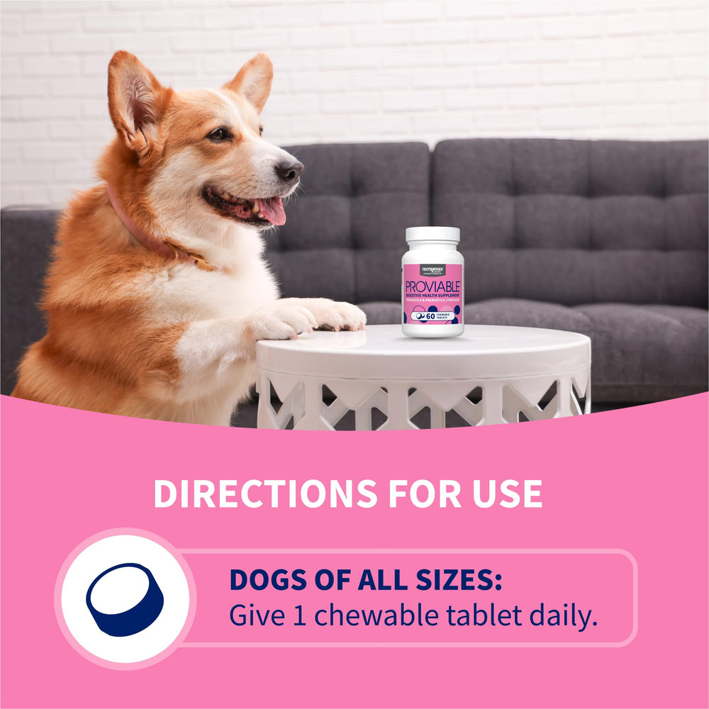Nutramax Proviable gut health concept with pet friendly packaging.