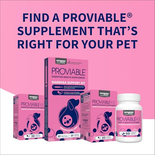 Proviable kit includes prebiotics and probiotics for potential gut balance.